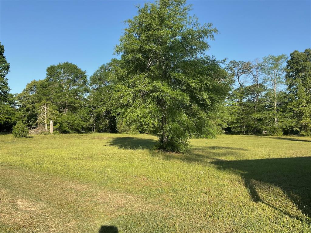 799 County Road 4497  , Hillister, Texas image 37