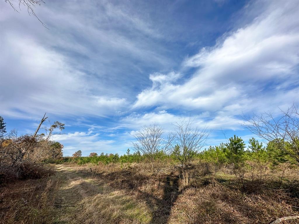 Cr 3201  , Daingerfield, Texas image 9