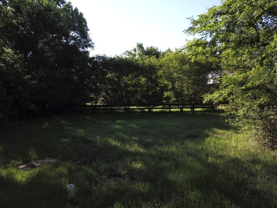 View from Back of Property Toward Road