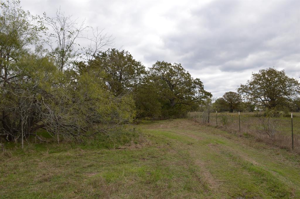 This 10 acre tract is located in highly sought after Iola school district. Featuring ample road frontage and towering hardwood trees, this property offers multiple build sites. Being unrestricted and having access to public water are both bonuses for housing multiple families. Even if looking for a recreational weekend retreat, this property offers hunting and investment opportunities. Additional acreage available. Survey required. Seller offering a $10,000 concession for property taxes