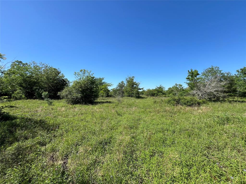 2 County Road 26  , Damon, Texas image 4