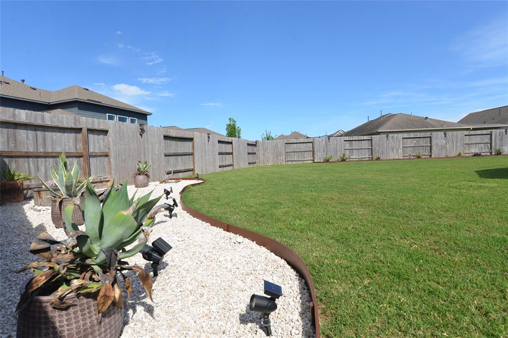 Landscaped back yard