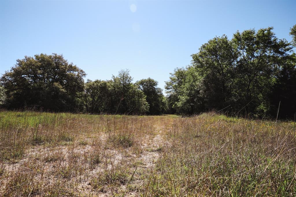 0000 County Road 14d/14e  , Hallettsville, Texas image 25