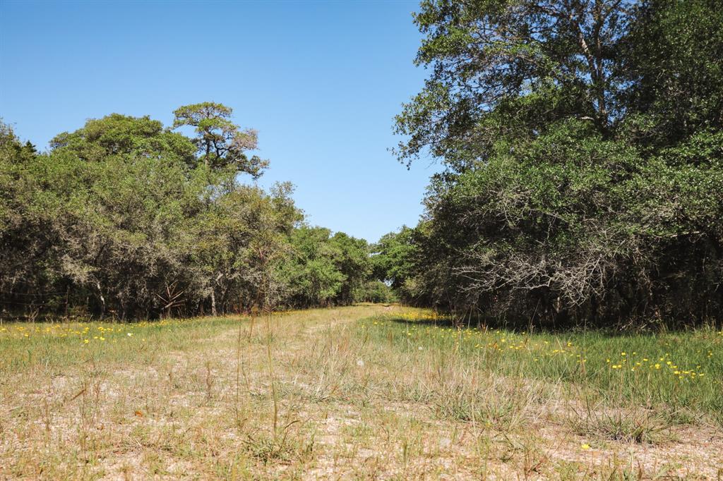 0000 County Road 14d/14e  , Hallettsville, Texas image 29