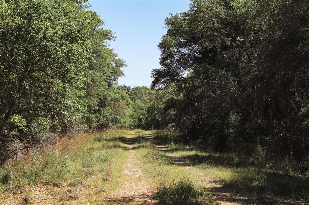 0000 County Road 14d/14e  , Hallettsville, Texas image 30