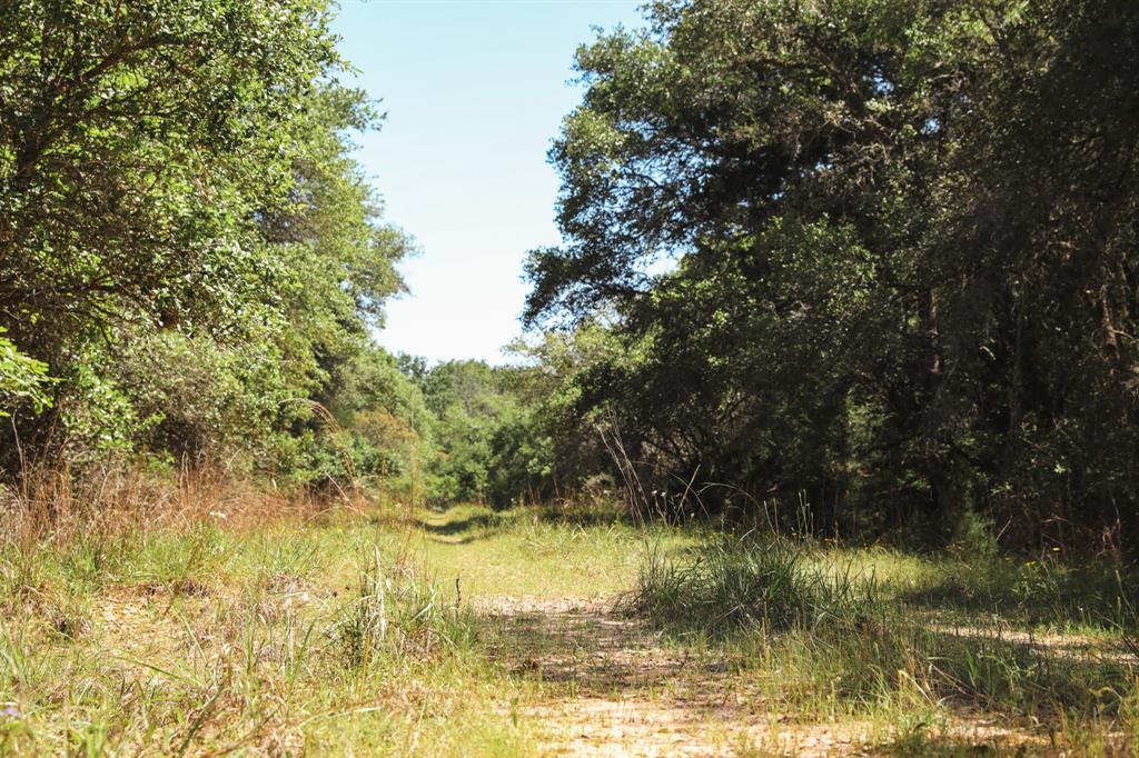 0000 County Road 14d/14e  , Hallettsville, Texas image 31