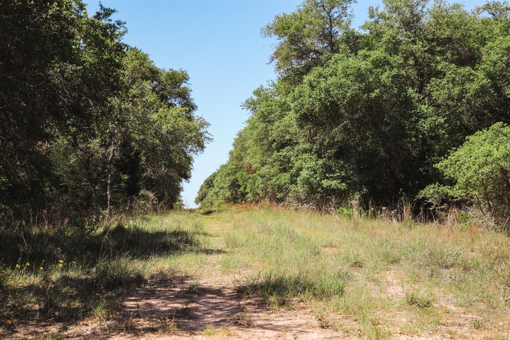 0000 County Road 14d/14e  , Hallettsville, Texas image 33