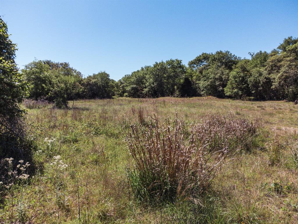 0000 County Road 14d/14e  , Hallettsville, Texas image 35