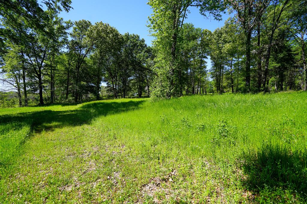 7451 Fm 773  , Ben Wheeler, Texas image 9