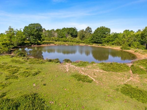 60.82 Acres in Navasota... 736 feet of road frontage to County Road 342! NO FLOOD PLAIN! Fenced with a Pond! Agriculture Exemptions in place currently. Rock has been dropped in the entrance to the land at the gate. Close to the Sam Houston National Forest, Historic Downtown Montgomery & Lake Conroe. Great opportunity for that Estate Property, Family Compound, Ranch or Recreational getaway. No Restrictions. Conveniently located minutes from the new Aggie Expressway, 18 minutes to Navasota, 35 minutes to College Station and just over an hour from downtown Houston. Call today to set up your personal tour!