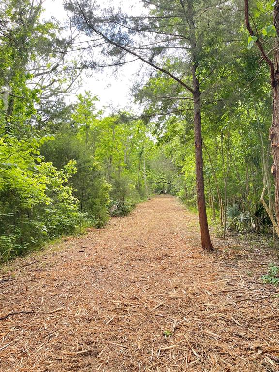 000 County Road 488  , Sweeny, Texas image 11