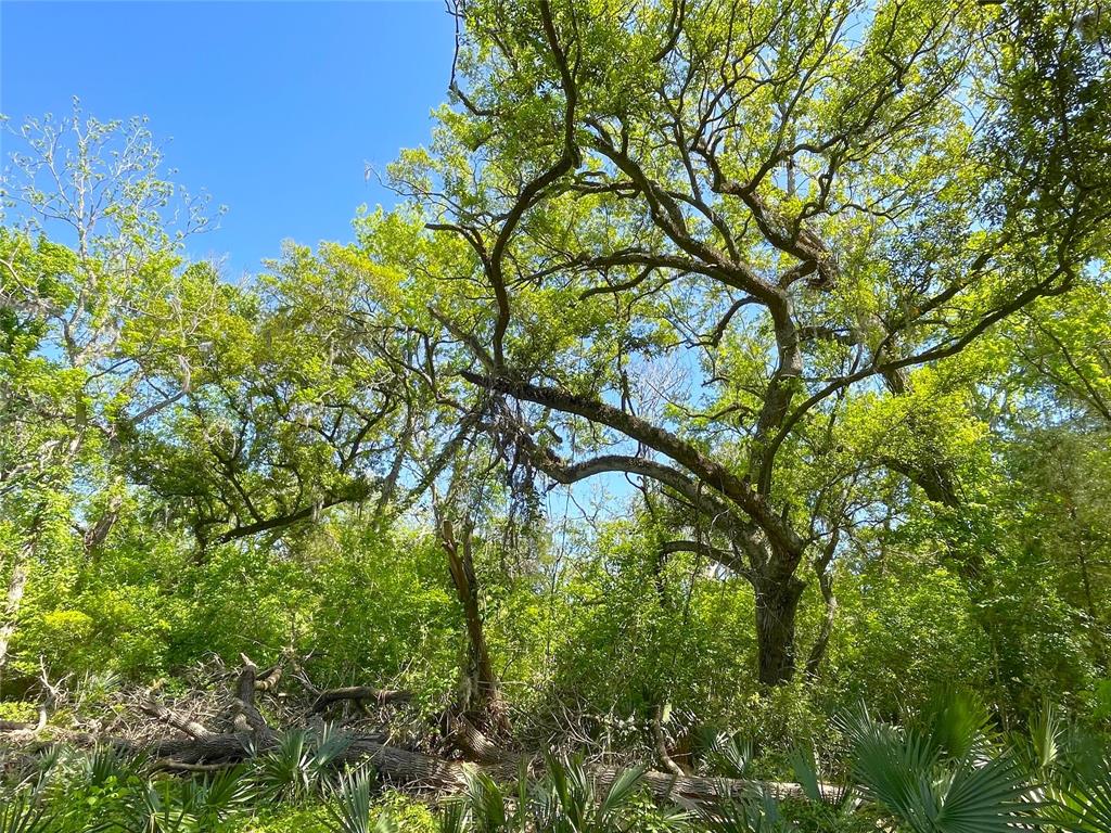 000 County Road 488  , Sweeny, Texas image 17