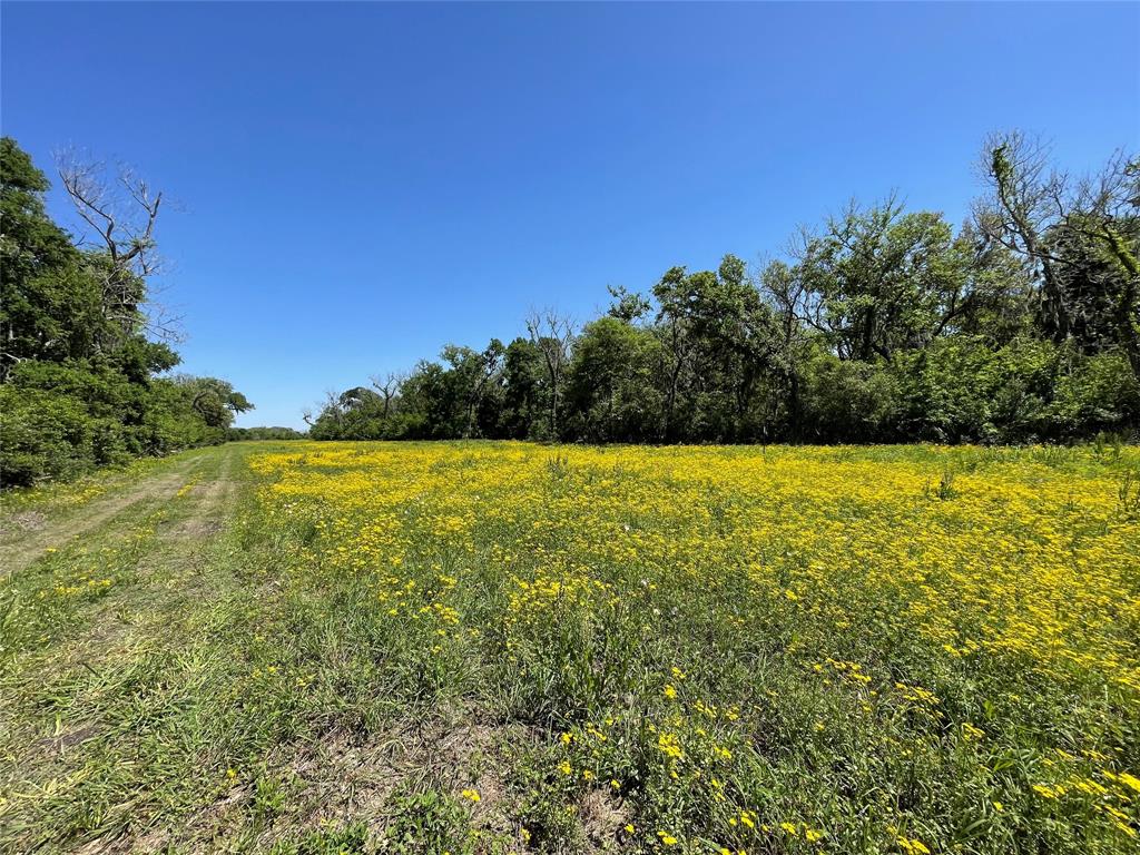 000 County Road 488  , Sweeny, Texas image 18