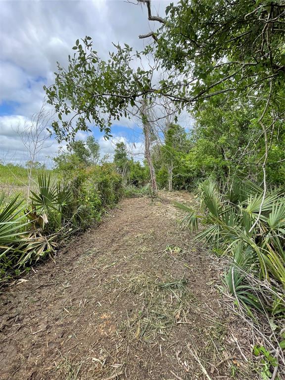 000 County Road 488  , Sweeny, Texas image 35