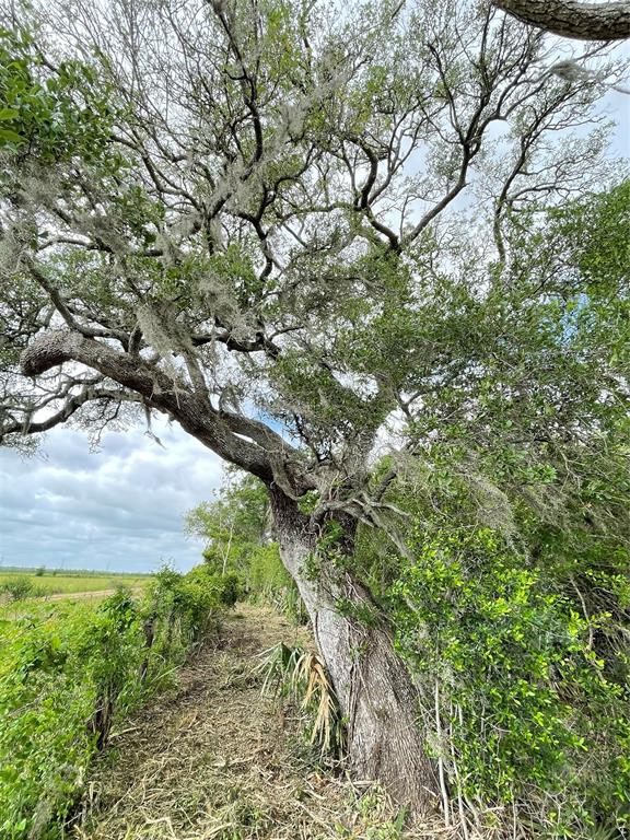 000 County Road 488  , Sweeny, Texas image 36