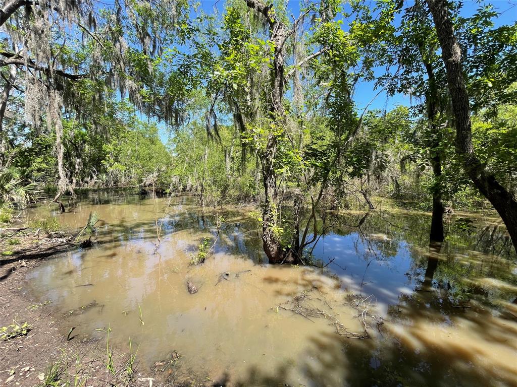 000 County Road 488  , Sweeny, Texas image 44