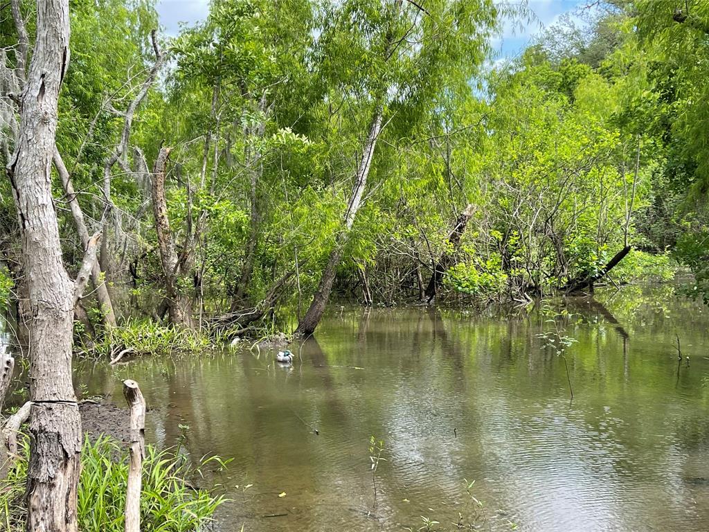 000 County Road 488  , Sweeny, Texas image 45