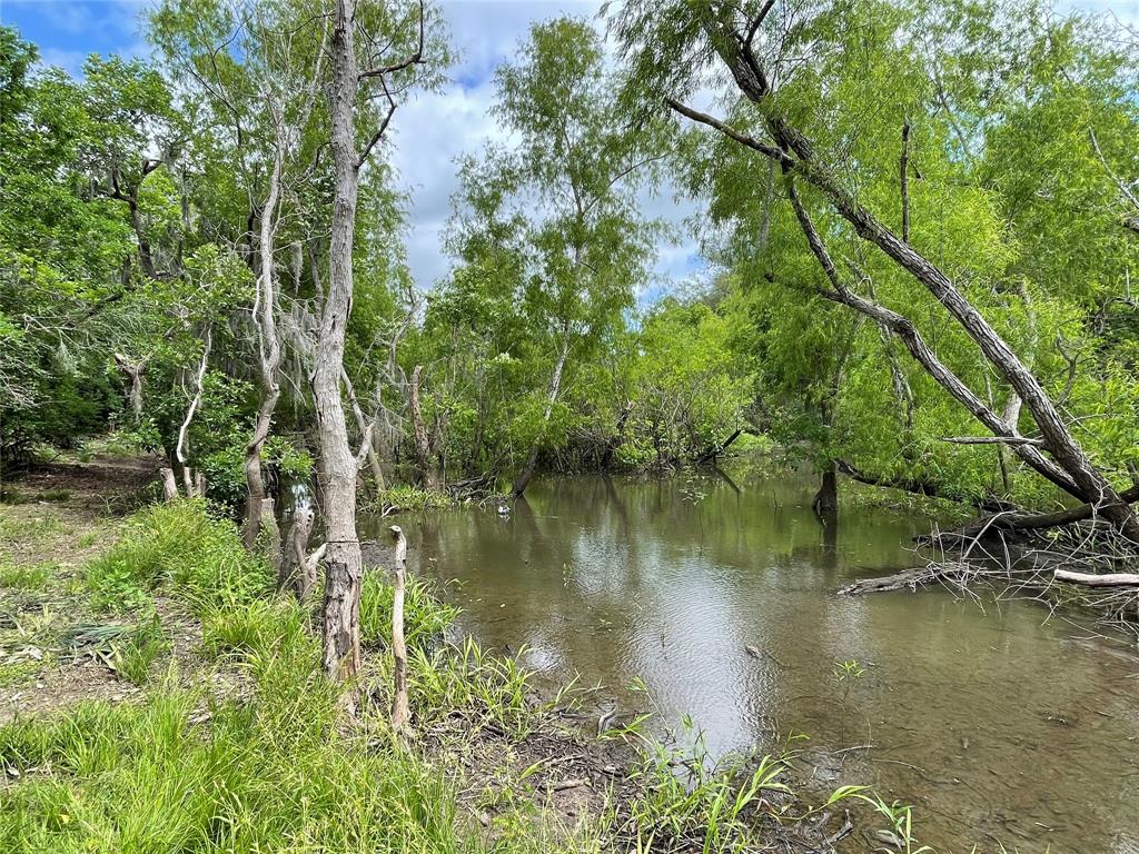 000 County Road 488  , Sweeny, Texas image 48