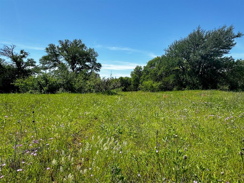 Upper Branch Way  , Palo Pinto, Texas image 5