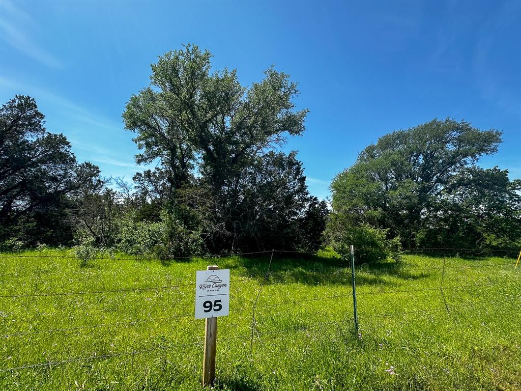 Upper Branch Way  , Palo Pinto, Texas image 6