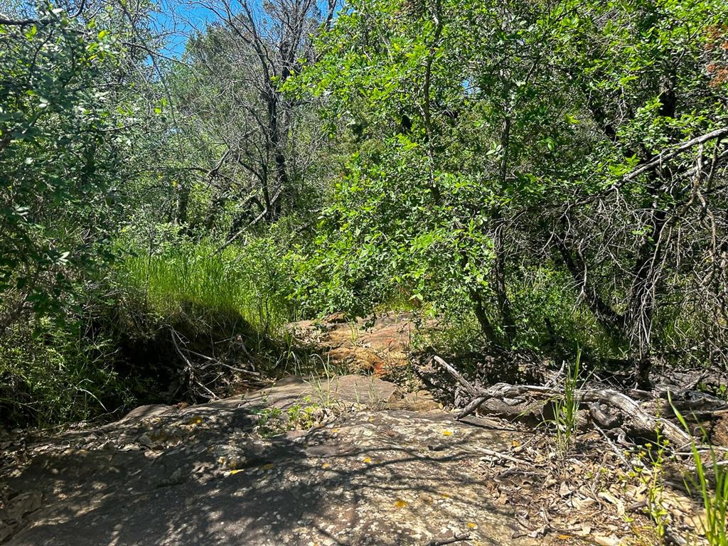 Upper Branch Way  , Palo Pinto, Texas image 7