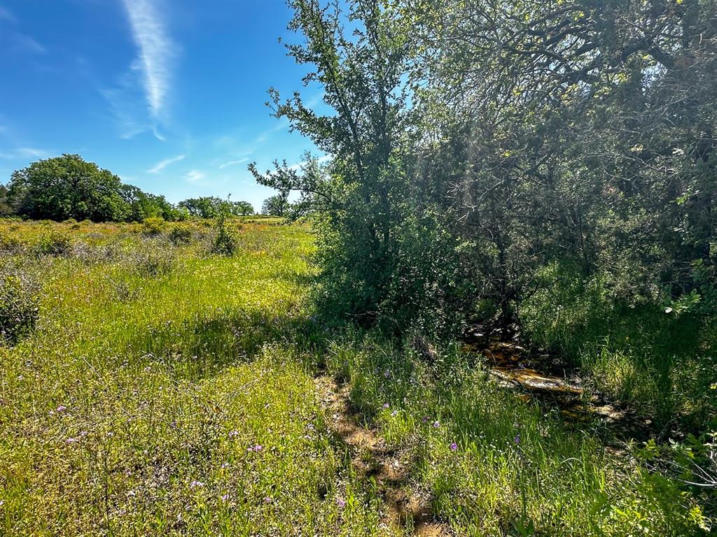 Upper Branch Way  , Palo Pinto, Texas image 8