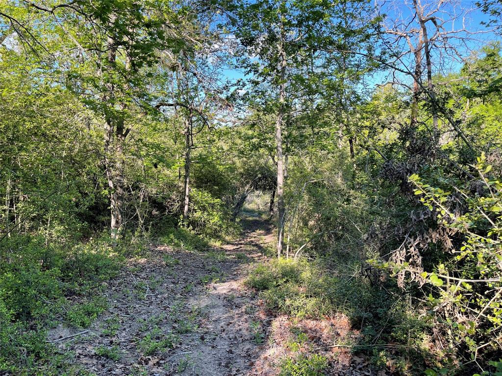 TBD Pr 359  , Oakwood, Texas image 22