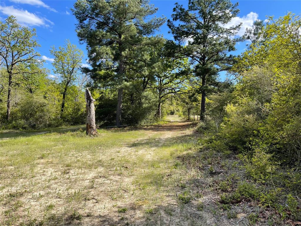 TBD Pr 359  , Oakwood, Texas image 25