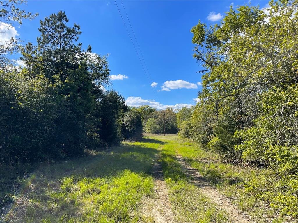 TBD Pr 359  , Oakwood, Texas image 28