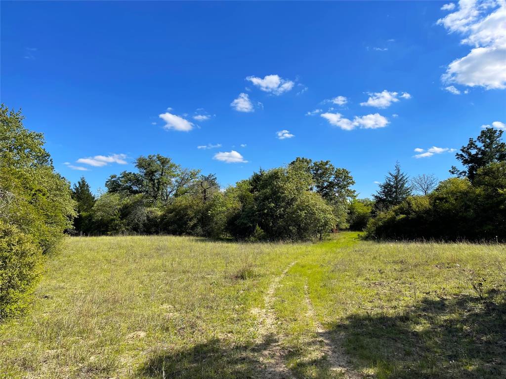 TBD Pr 359  , Oakwood, Texas image 29