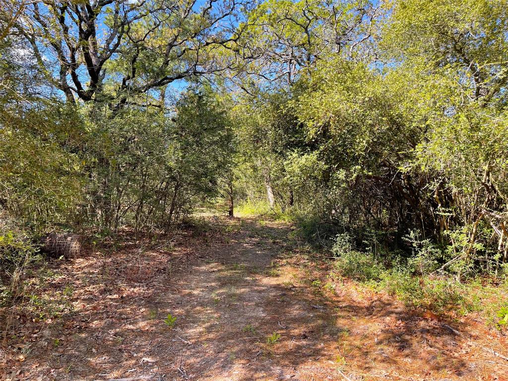 TBD Pr 359  , Oakwood, Texas image 30