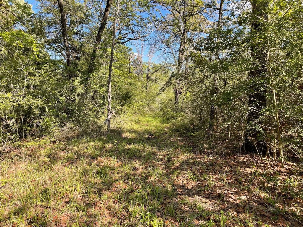 TBD Pr 359  , Oakwood, Texas image 32