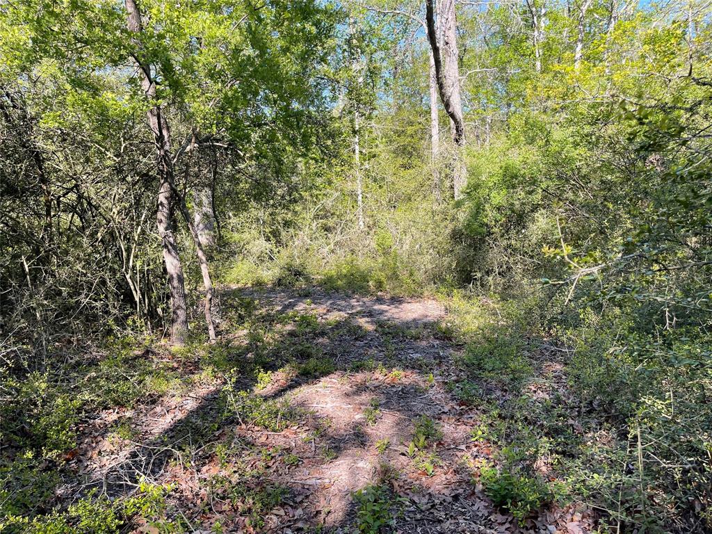 TBD Pr 359  , Oakwood, Texas image 36