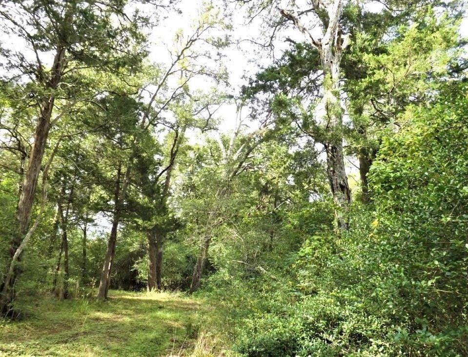 Wooded 5 acre rolling property with several open areas. Beautiful live oaks, post oaks, walnut, cedar and pines. Peaceful small community with beautiful lake. Take a small boat, fish and relax. Make it a weekend place or build your home.