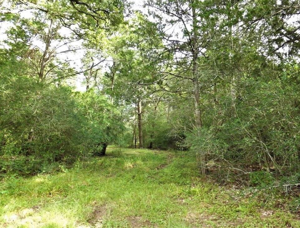 Lot 79 Pine Crest  , New Ulm, Texas image 4