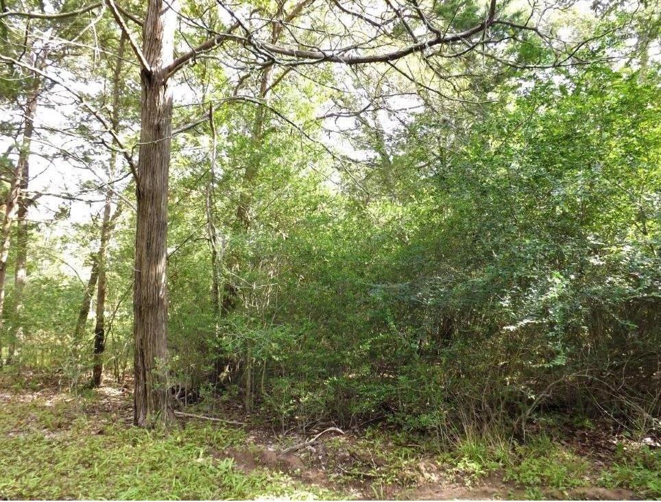 Lot 79 Pine Crest  , New Ulm, Texas image 6