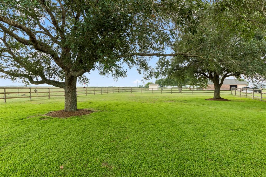 Side yard has ample room for outdoor family activities.