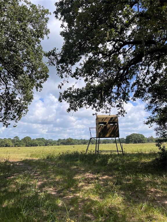 TBD Big Pasture Rd Road , Columbus, Texas image 17