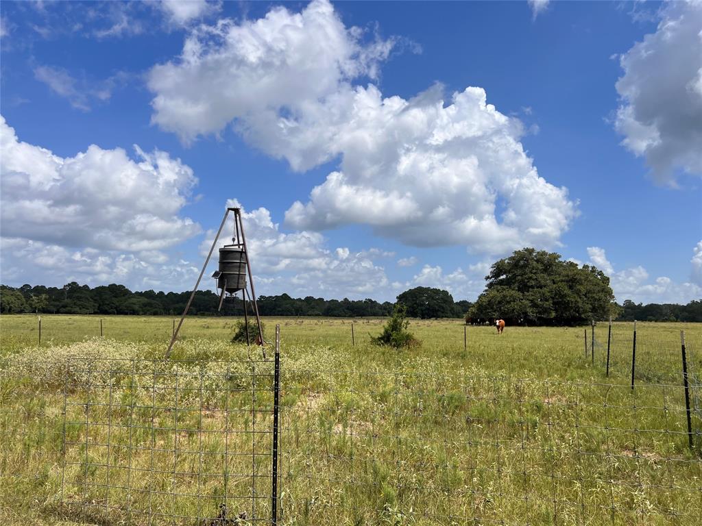 Middle deer feeder by back 50 acres.