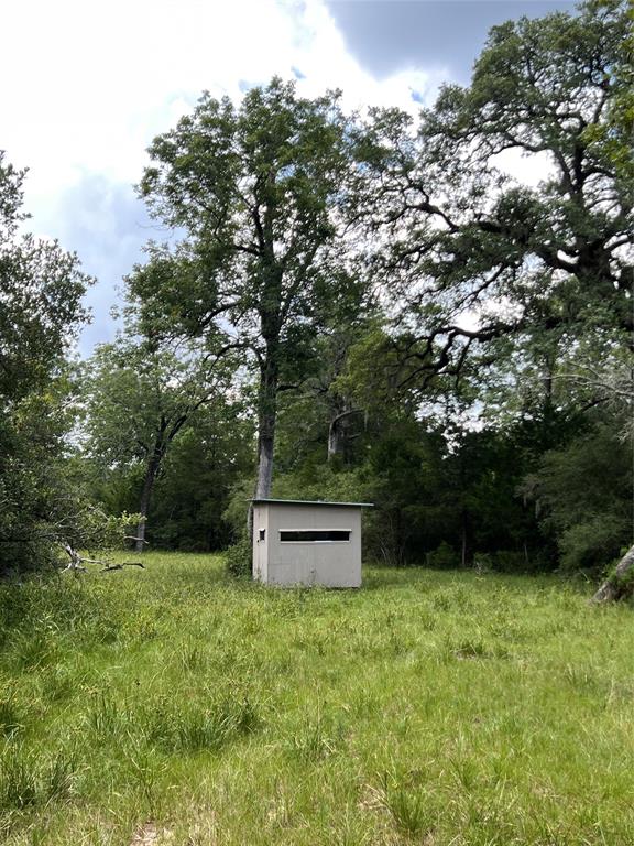 TBD Big Pasture Rd Road , Columbus, Texas image 22