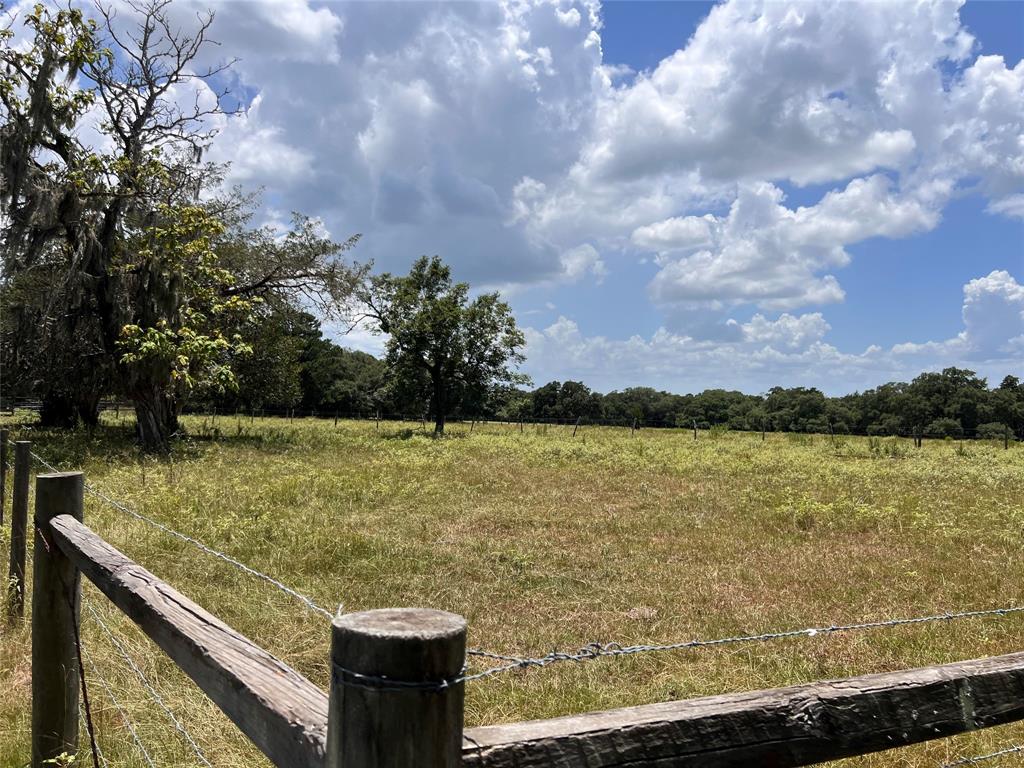 4-5 acre fully fenced corral.