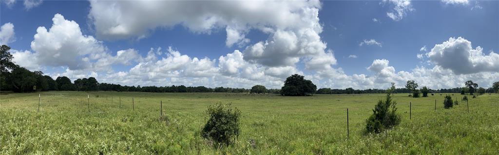 TBD Big Pasture Rd Road , Columbus, Texas image 4