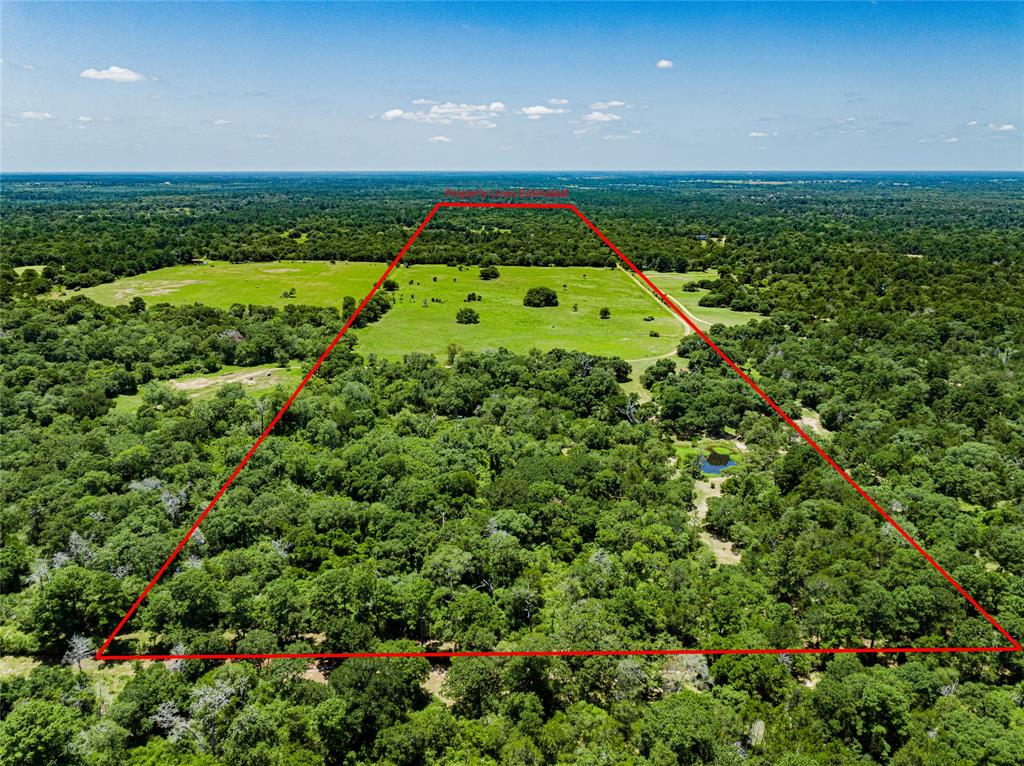 Back pasture with pond with bass, 20 acres of woods, 30 acres cleared with a few scattered trees. One magnificent oak tree in the middle of the cleared land.  Easement/Road runs along the west high fence side of the property.