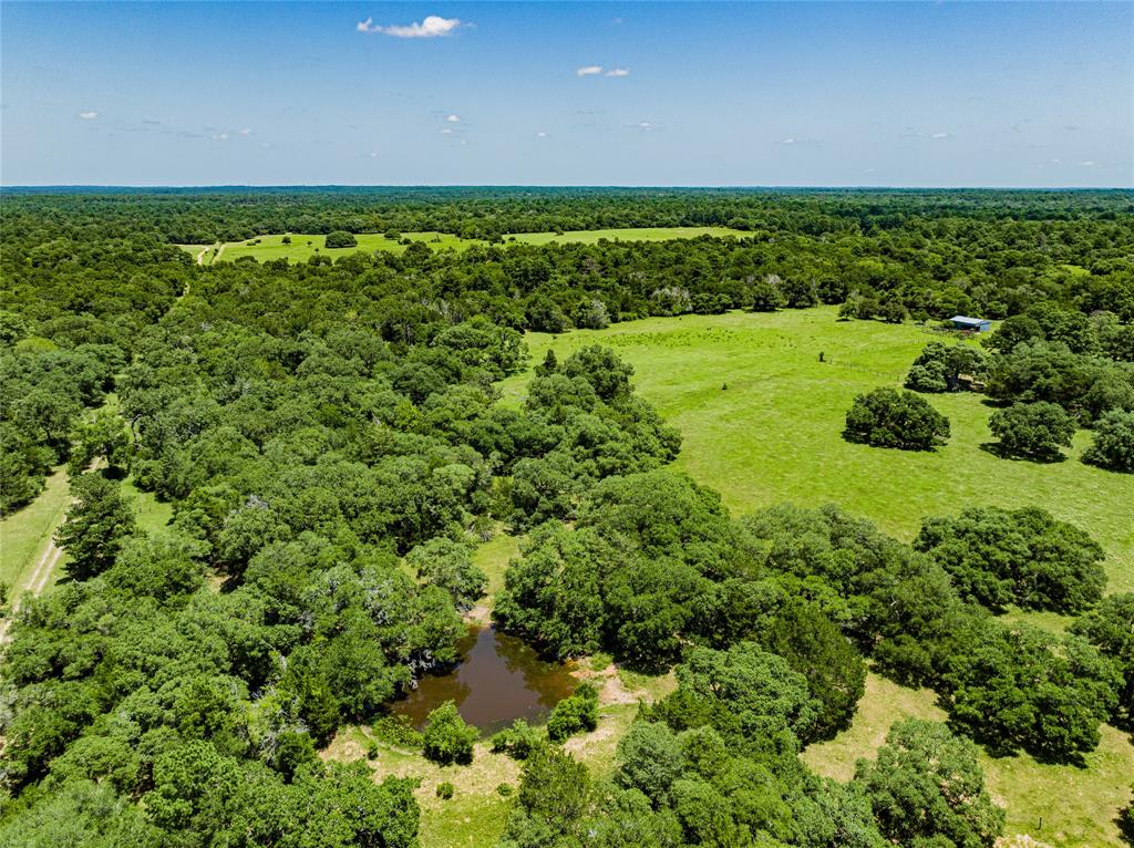 Front pond surrounded b mature Oak Tree