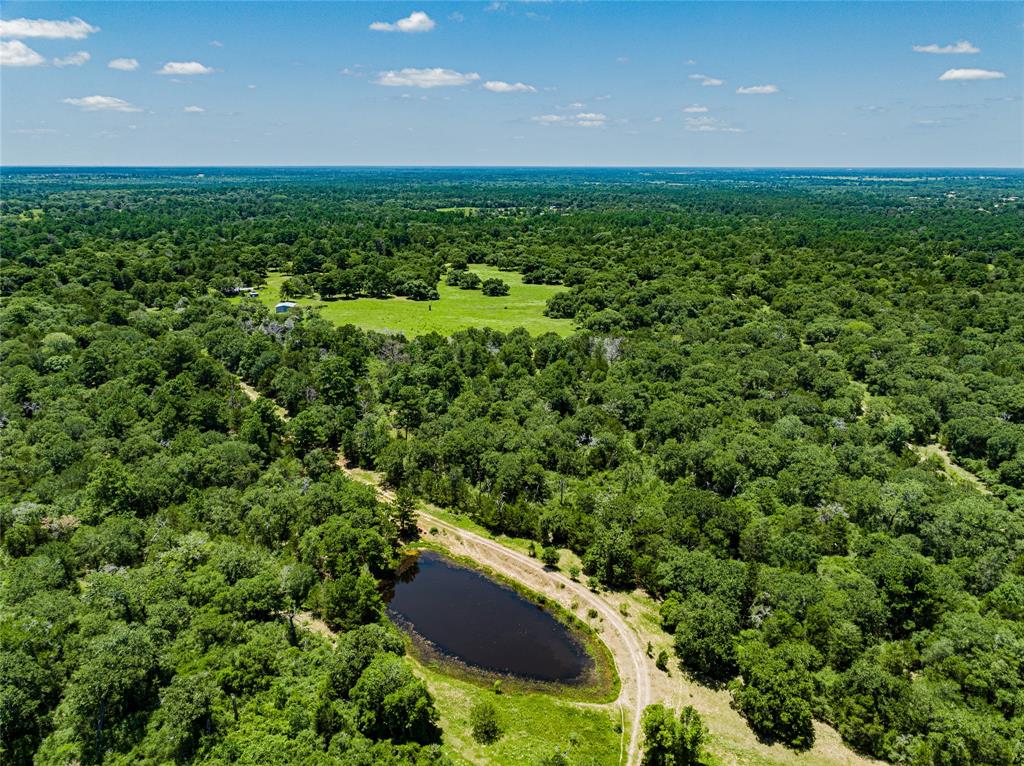 Second pond in the middle of the property.