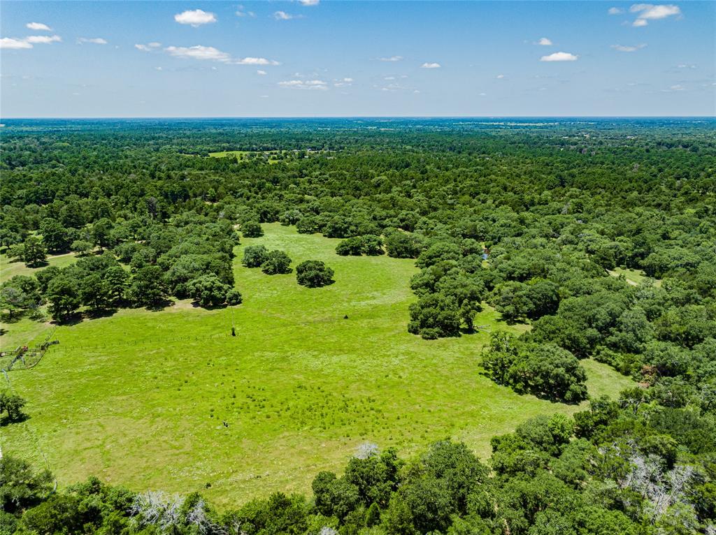 TBD Big Pasture Rd Road , Columbus, Texas image 10