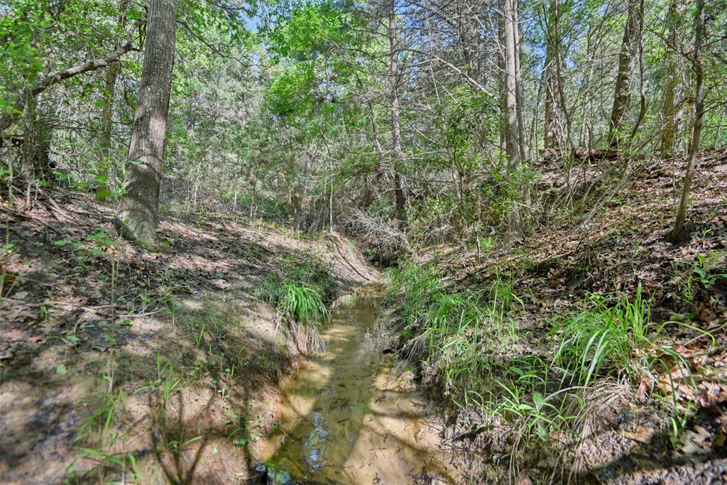 0000 Pfistner Road  , Franklin, Texas image 11