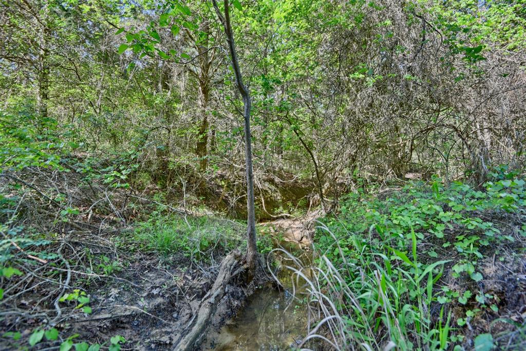 0000 Pfistner Road  , Franklin, Texas image 12