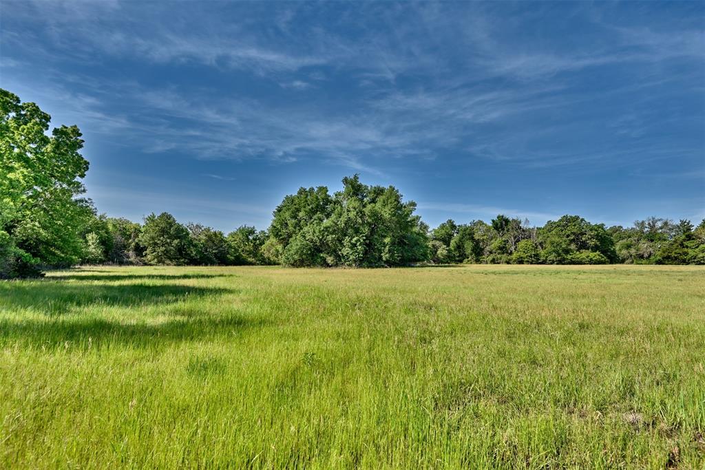 0000 Pfistner Road  , Franklin, Texas image 16