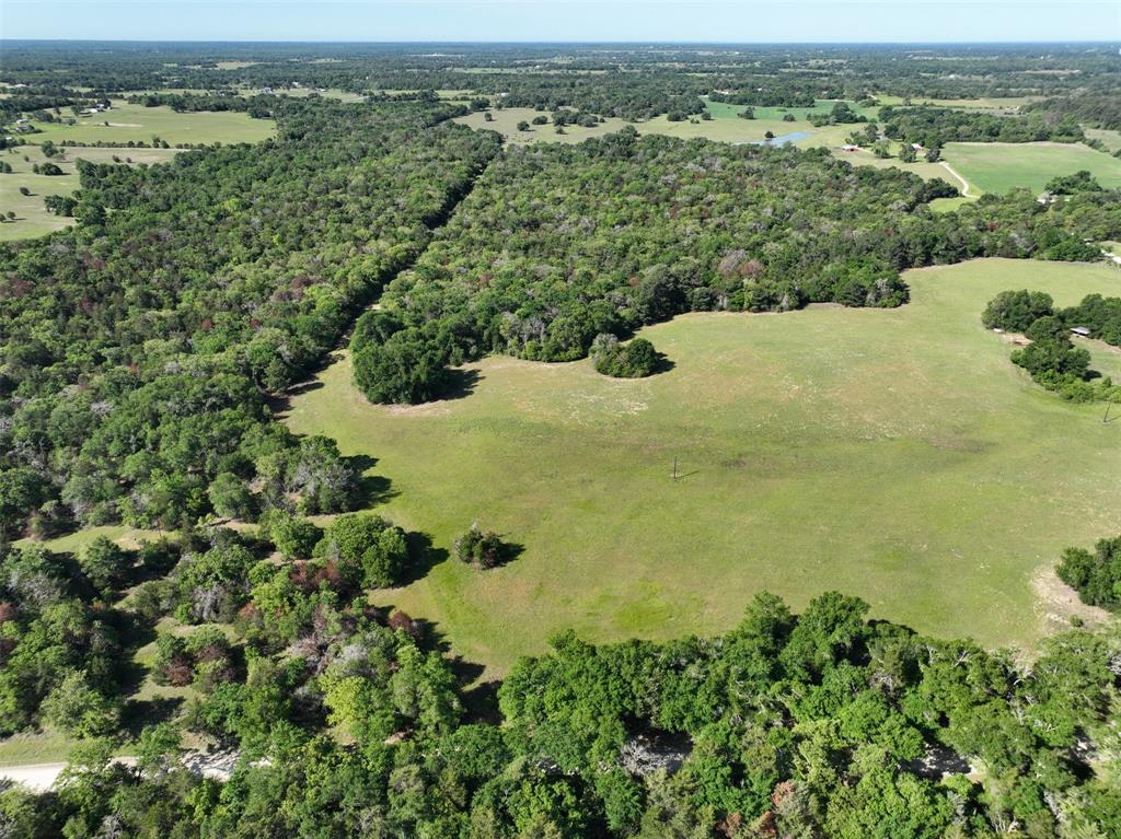 0000 Pfistner Road  , Franklin, Texas image 6